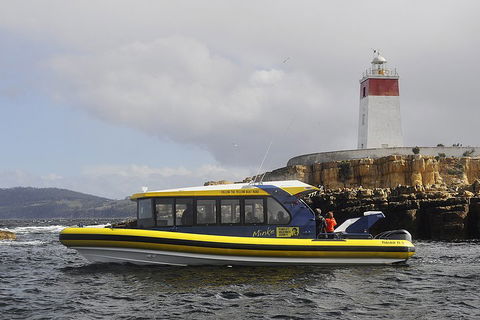 Hobart Sightseeing Cruise Including Iron Pot Lighthouse - Pubs and Clubs 0