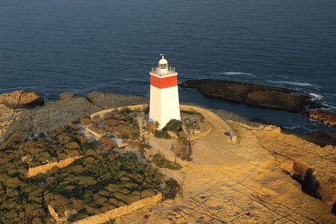 Hobart Sightseeing Cruise Including Iron Pot Lighthouse - Pubs and Clubs 1