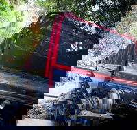 Blue Mountains Hop-on Hop-off Tour with Optional Scenic World Rides - Pubs and Clubs