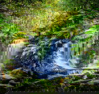 Day Tour in Mt. Field Mt. Wellington Bonorong Wildlife Sanctuary and Richmond - Pubs and Clubs