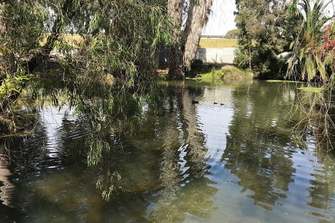 Perth East Foreshore And City Segway Tour - Pubs and Clubs 1