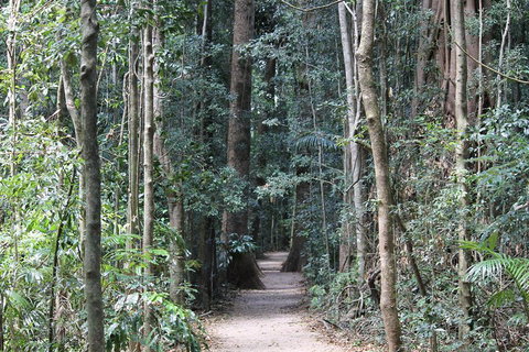 Eumundi Markets And Sunshine Coast Day Trip From Brisbane - Pubs and Clubs 4