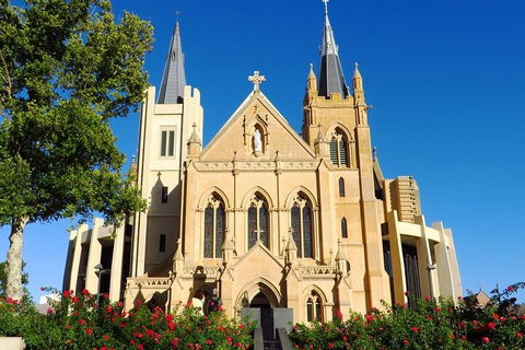Perth Scavenger Hunt: Perched On A Swan - Go Out 1