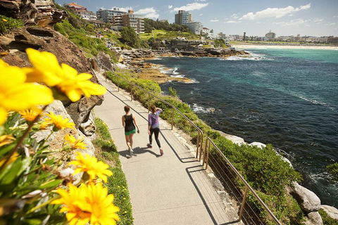 Sydney Uncovered Full-Day Tour - Pubs and Clubs 1