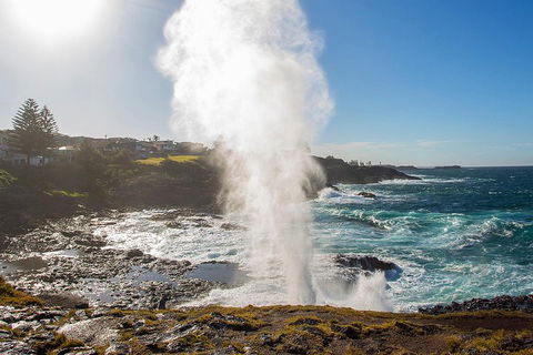 Private Tour: Sydney South Coast & Highlands - Pubs and Clubs 2