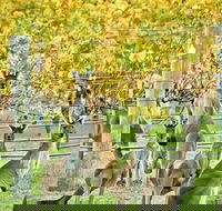 Margaret River Indulge and Discover Day Tour - Pubs and Clubs