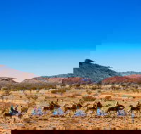 Alice Springs Camel Tour - Pubs and Clubs