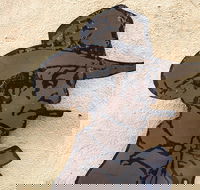 Explore The Rocks Sydney In A Series Of Fun Cryptic Clues - Pubs and Clubs