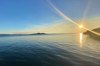 Aquascene Magnetic Island Discovery Tour