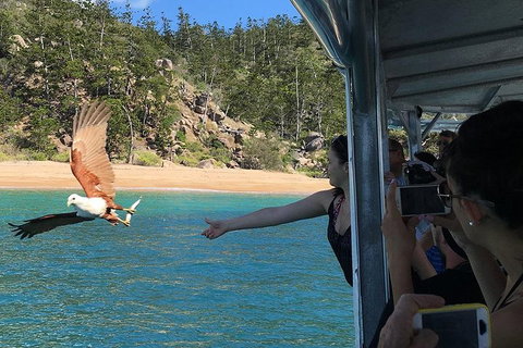 Aquascene Magnetic Island Discovery Tour - Go Out 2