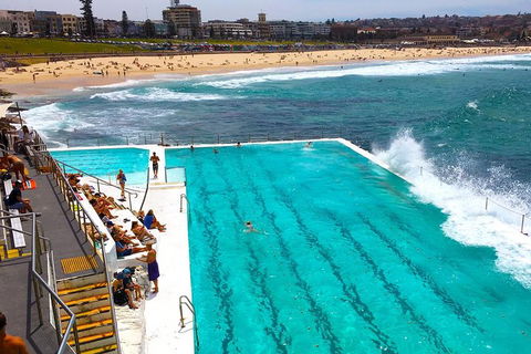 Private Sydney Half Day Tour Including Sydney Opera House And Bondi Beach - Pubs and Clubs 1