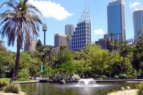 Private Sydney Half Day Tour Including Sydney Opera House And Bondi Beach - Pubs and Clubs 4