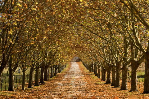 Private Southern Highlands Day Trip From Sydney Including Fitzroy Falls - Pubs and Clubs 4