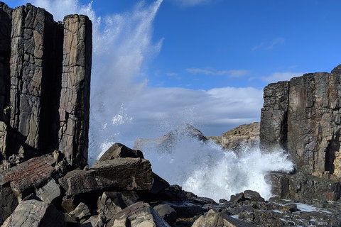 Erupting Blowholes And Ancient Rainforests With 'Personalised Sydney Tours' - Pubs and Clubs 0