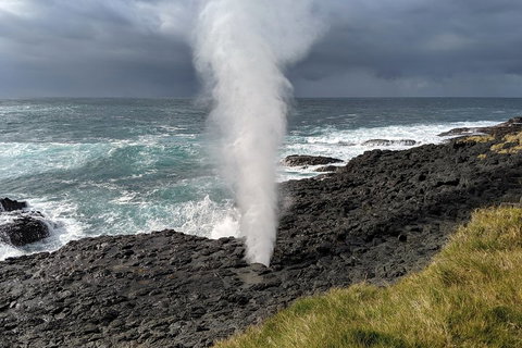 Erupting Blowholes And Ancient Rainforests With 'Personalised Sydney Tours' - Pubs and Clubs 1
