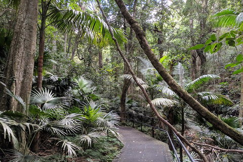 Erupting Blowholes And Ancient Rainforests With 'Personalised Sydney Tours' - Pubs and Clubs 2