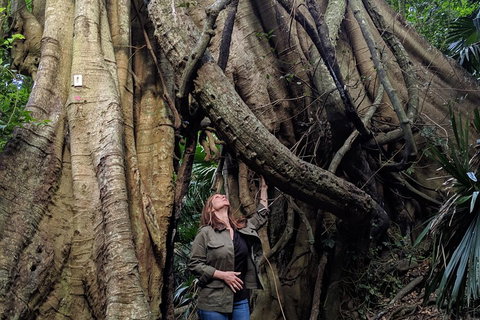 Erupting Blowholes And Ancient Rainforests With 'Personalised Sydney Tours' - Pubs and Clubs 4