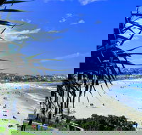 Sydney Secrets  Bondi Private 4 Hour Afternoon with 'Personalised Sydney Tours' - Pubs and Clubs