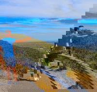 Private Tour Mornington Peninsula Family Maze and Fun - Pubs and Clubs