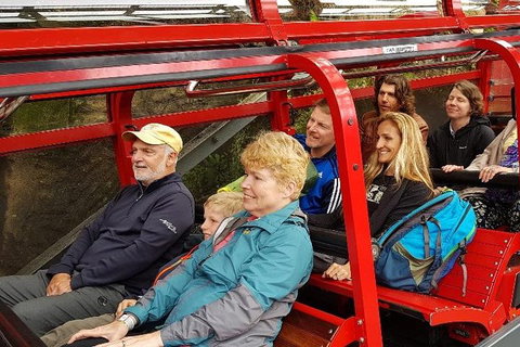 Blue Mountains Ultimate One-Day Tour - Go Out 0