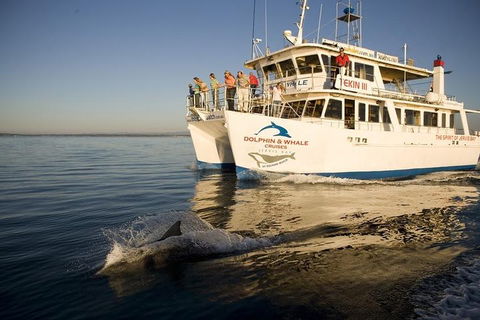 Jervis Bay Dolphin Watch Cruise - Pubs and Clubs 3