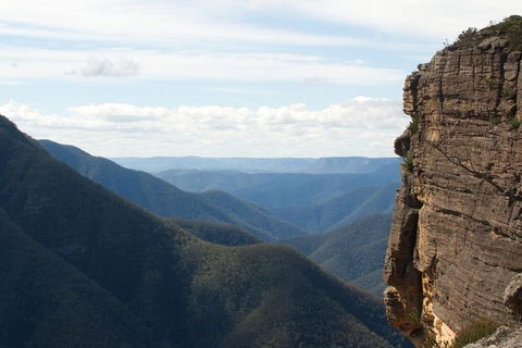 Inside The Greater Blue Mountains World Heritage - A Wildlife Safari Overnight - Pubs and Clubs 4