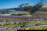 Private Hobart Discover South East Food and Scenic Tour