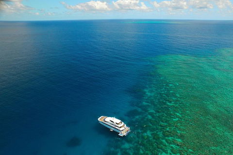 Great Barrier Reef Snorkeling And Diving Cruise From Cairns - Pubs and Clubs 4