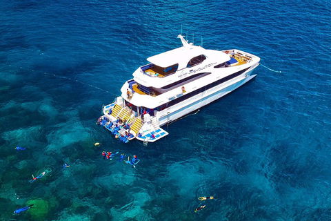 Great Barrier Reef Snorkeling And Diving Cruise From Cairns - Pubs and Clubs 5
