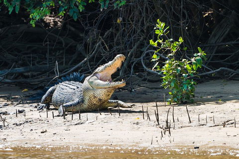 Full Day Cooktown Private Tour - Pubs and Clubs 4