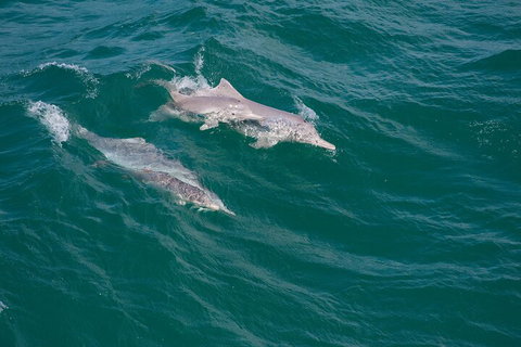 North Stradbroke Island Private Tour With Pickup - Go Out 0