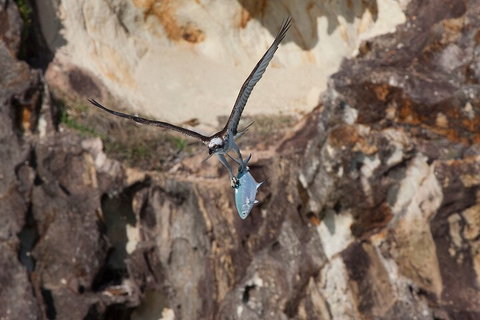 North Stradbroke Island Private Tour With Pickup - Go Out 2