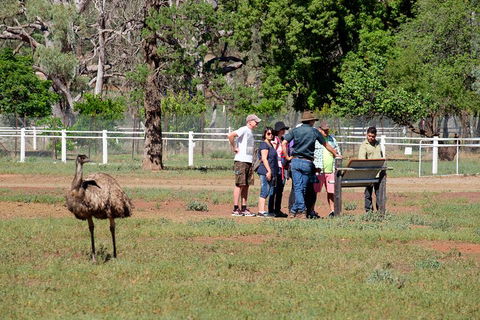 Yura Udnyu - Our Culture, Your Culture (Aboriginal Cultural Walk) - Go Out 1