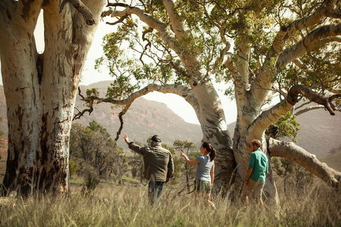 Yura Udnyu - Our Culture, Your Culture (Aboriginal Cultural Walk) - Go Out 5