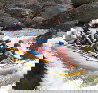 Barron River Half-Day White Water Rafting from Cairns - Pubs and Clubs