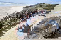 3 Day Tasmanian Wild West Coast Tour from Hobart to Launceston