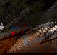 Alice Springs Desert Park Nocturnal Tour - Pubs and Clubs