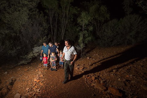 Alice Springs Desert Park Nocturnal Tour - Pubs and Clubs 0