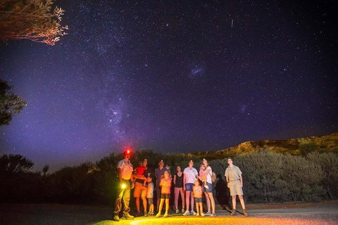 Alice Springs Desert Park Nocturnal Tour - Pubs and Clubs 2