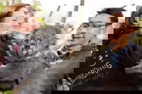 Bonorong Wildlife Park and Richmond Afternoon Tour from Hobart