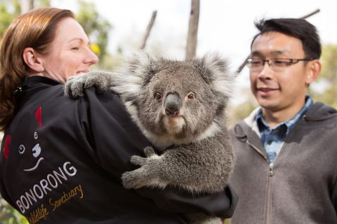 Bonorong Wildlife Park And Richmond Afternoon Tour From Hobart - Go Out 0