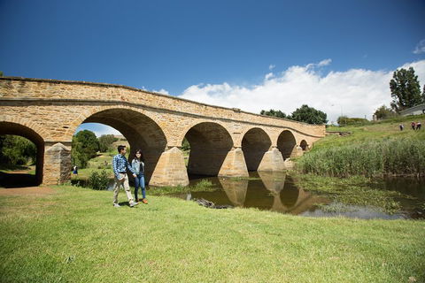 Bonorong Wildlife Park And Richmond Afternoon Tour From Hobart - Go Out 2