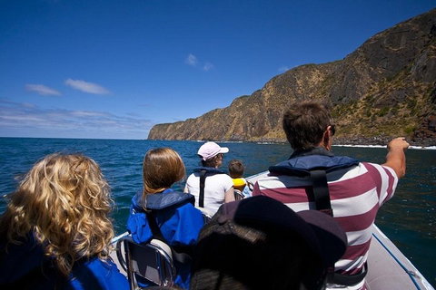 Seal Island Boat Tour From Victor Harbor - Go Out 0