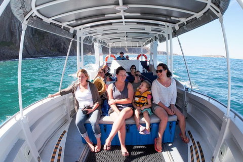 Seal Island Boat Tour From Victor Harbor - Go Out 1