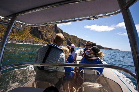 Seal Island Boat Tour From Victor Harbor - Go Out 2