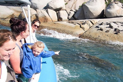 Seal Island Boat Tour From Victor Harbor - Go Out 4