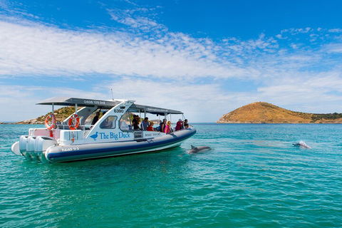 Southern Ocean Adventure From Victor Harbor - Go Out 1