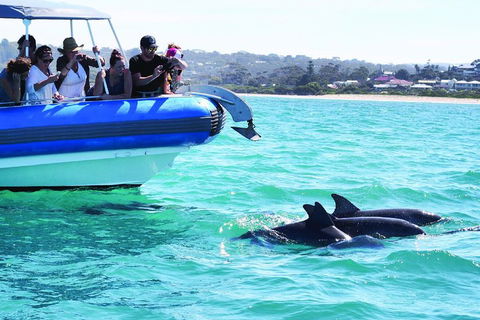 Southern Ocean Adventure From Victor Harbor - Go Out 2