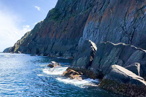 Southern Ocean Adventure From Victor Harbor - Go Out 3