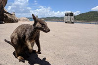Magnetic Island Tour Maggie Comprehensive
